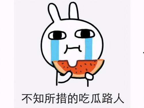 吃瓜官网违法吗,网络舆论的边界与法律